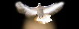 Class 2: The Holy Spirit